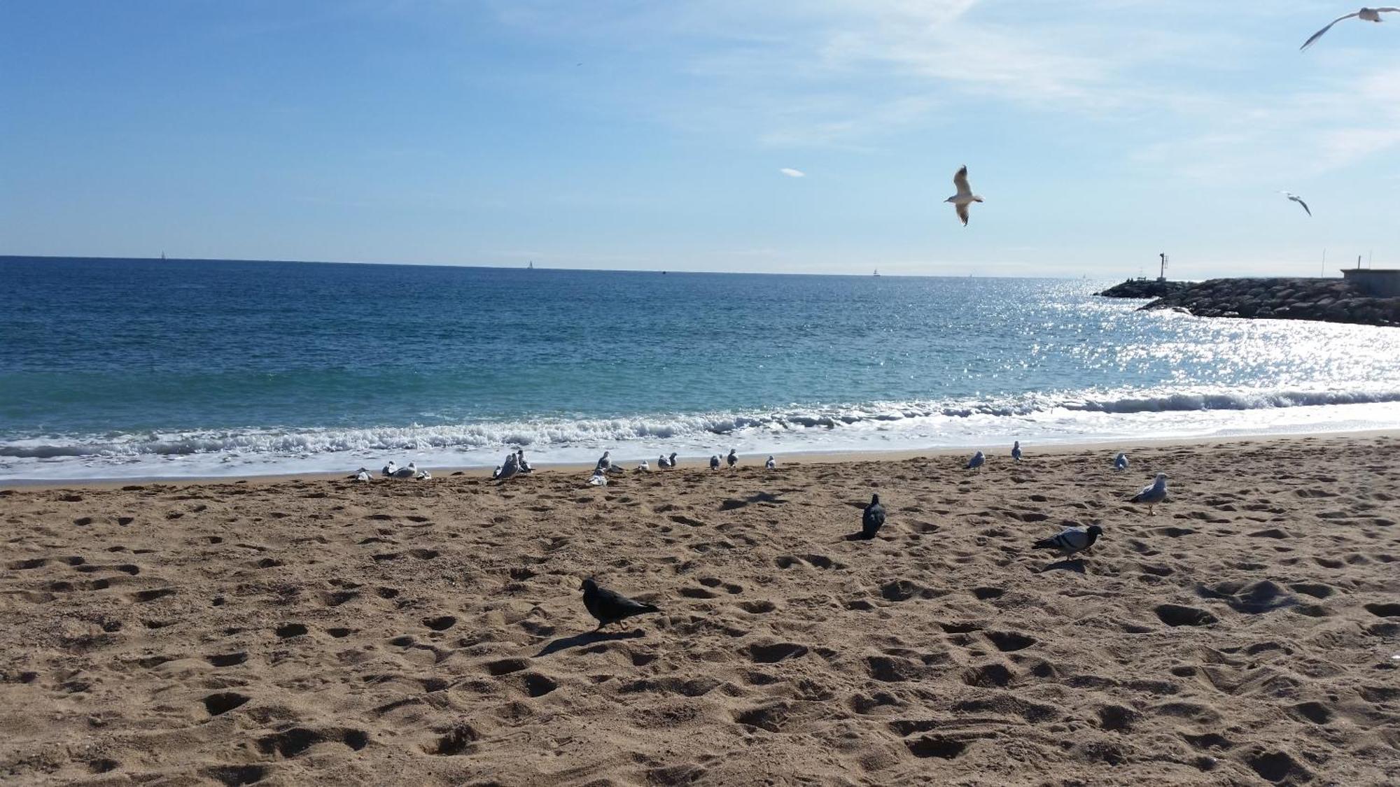 Sublime Vue Mer,Parking,Wifi Fréjus المظهر الخارجي الصورة