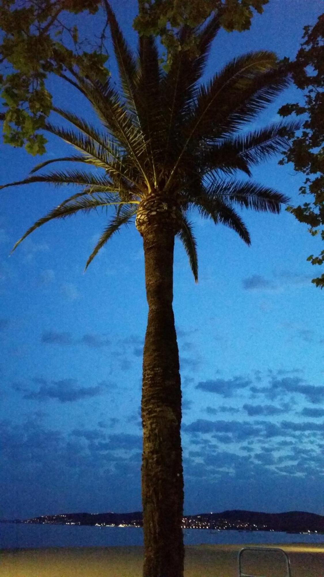 Sublime Vue Mer,Parking,Wifi Fréjus المظهر الخارجي الصورة